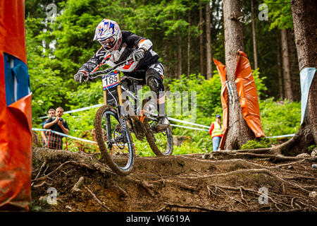 Juni 11, 2011 - Leogang, Österreich. Loic Bruni Racing an der UCI Mountainbike Downhill World Cup Stockfoto