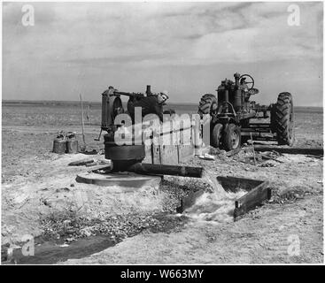 Haskell County, Kansas. Praktisch jede Farm im County ist in erster Linie abhängig von Weizen, althou. . .; Umfang und Inhalt: Die Bildunterschrift lautet wie folgt: Haskell County, Kansas. Praktisch jede Farm im County ist in erster Linie abhängig von Weizen, obwohl die Zahl der Landwirte, die Pflanze Sorghum und kleine Körner für Vorschub und Verkauf, Feeder heben oder Schafe, große Herden von Legehennen und versuchen, auf andere Art und Weise Teil ot ihr Einkommen unabhängig von der Weizen zu machen. Diese Bilder wurden alle in den frühen Teil von April, wenn die landwirtschaftlichen Tätigkeiten waren zu gering. Es war Frühling Pflügen und Stockfoto