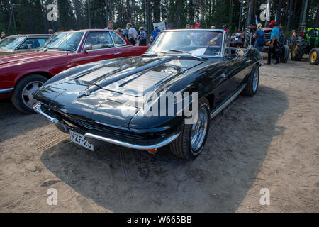 1963 Chevrolet Corvette Stingray Stockfoto