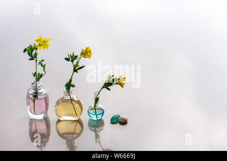 Drei Flaschen der aromatischen Öle stehen im Einklang mit anderen Farbe Öle. In jedem stecken Blume. In der Nähe befinden sich ein kieselstein und ein Glas Stück. Reflexionen über die Stockfoto