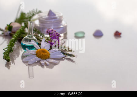 Pflanzen und ein Glas Creme im Hintergrund, Kamille im Vordergrund. Verschwommen Glas und Muscheln im Hintergrund. Selektiver Fokus auf die Elemente Stockfoto