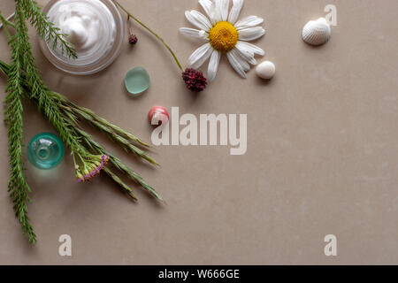 Flache Ansicht. Zweige Pflanzen, Blumen, Muscheln und Sahne in einem Topf. Spa. Hintergrund braun Keramische Fliese. Es ist ein Platz für Text. Stockfoto