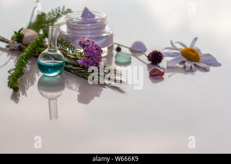 Spa der Kräuter und Blüten mit Steinen und Muscheln und Sahne in einem Topf im Hintergrund. Selektiver Fokus auf die Einzelteile vor. Reflexionen Stockfoto