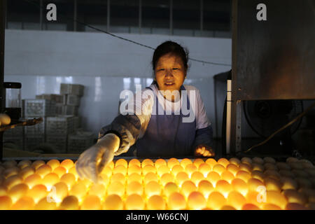 Ein Arbeitnehmer, der die Kontrollen der gesalzene Ente Eier unter den Lichtern bis das Doppelte - Eigelb Enteneier in Gaoyou Pick, Yangzhou Stadt, im Osten der Provinz Jiangsu, China Stockfoto