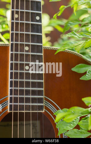 Closeup Schuß von Griffbrett der Gitarre mit Blätter Hintergrund Stockfoto