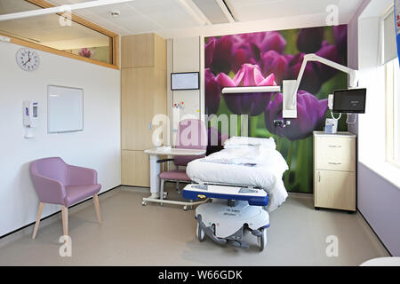 Krankenhaus in den neuen Stanmore Gebäude, Royal National orthopädisches Krankenhaus, London, UK. Die Wände sind mit Foto - Wandbilder von Blumen. Stockfoto