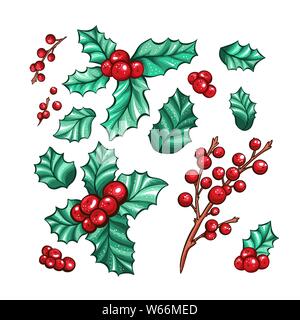 Weihnachten rote Beeren Kalifornien holly isoliert Vektor Pflanzen Sammlung für Weihnachten Geschenk Design. Marker Farbige botanische Zeichnungen. Stock Vektor