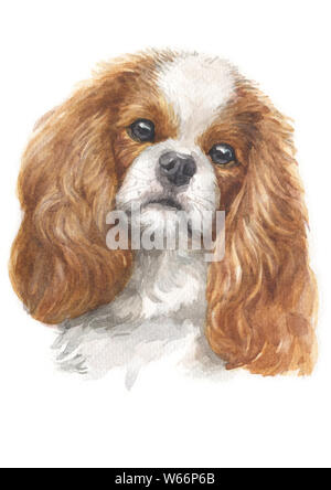 Aquarellmalerei von Cavalier King Charles Spaniel 039 Stockfoto