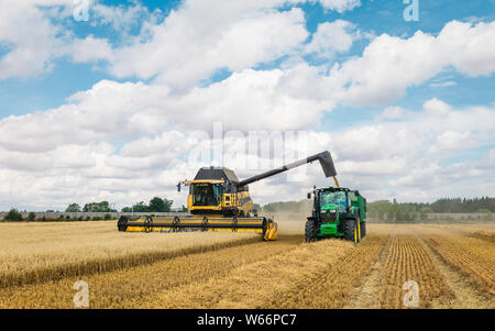 Moderne Maschinen Ernten ein Feld von Hafer auf einem hellen sonnigen Morgen im Sommer am 10. August 2018 in Beverley, Yorkshire, Großbritannien. Stockfoto