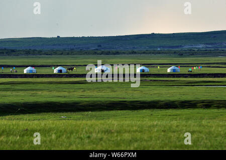 Ein Blick auf einen Bereich des Hulun Buir Grünland in North China Autonome Region Innere Mongolei, 14. Juli 2018. Ein Blick auf einen Bereich des Hulun Buir G Stockfoto