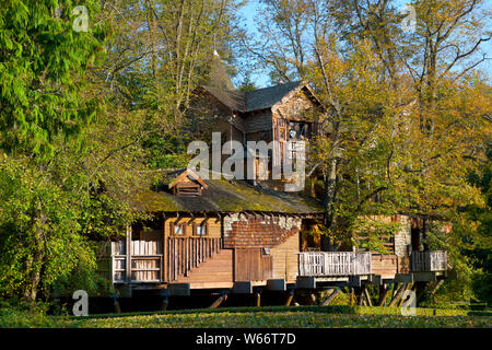 Baumhaus um Eichen gebaut Alnwick Castle Northhumberland UK Stockfoto