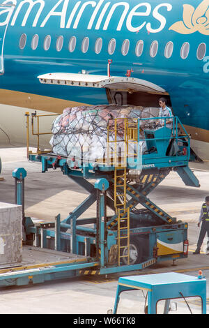 HANOI, VIETNAM, Apr 19 2019, eine Manipulation mit Sendungen im Luftverkehr. Entladen der Fracht von einem Flugzeug mit einem Lift Plattform auf der Noi Bai Int Stockfoto