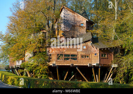 Baumhaus um Eichen gebaut Alnwick Castle Northhumberland UK Stockfoto