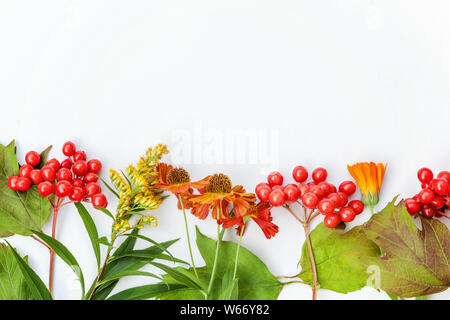 Herbst florale Komposition. Rahmen aus Herbst pflanzen viburnum Beeren, orange frische Blumen auf weißem Hintergrund. Herbst Herbst natürlichen Pflanzen Ökologie Stockfoto