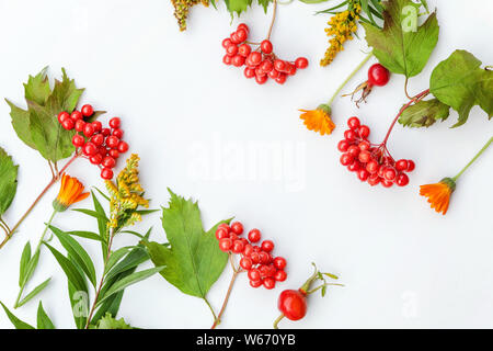 Herbst florale Komposition. Rahmen aus Herbst pflanzen viburnum Beeren, orange frische Blumen auf weißem Hintergrund. Herbst Herbst natürlichen Pflanzen Ökologie Stockfoto