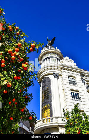 Plaza de las Tendillas, Cordoba, Andalusien, Spanien Stockfoto