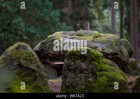 Sachsen-anhalt, Deutschland. Juli 31, 2019. Blick auf den Stein Grabkammer des Königsgrabes", wurde von Menschen Der trichterbecher Kultur dort Bestattungen durchführen. In Zukunft wird die Megalith Route Altmark führt vorbei am Grab und Touristen anziehen in der nordwestlichen Altmark. Ursprünglich war geplant, die 40 Kilometer lange Strecke im kommenden Frühjahr beginnen, benötigt aber immer noch Zeit für die Entwicklung. Die Dichte der Steinblöcke, auch als Hünengrab, ist besonders hoch in der Altmark Landkreis Salzwedel. Quelle: dpa Picture alliance/Alamy leben Nachrichten Stockfoto