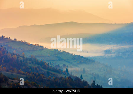 Schönen Herbst Sonnenaufgang in den Bergen. Dunst und Nebel im Tal. Bäume im Herbst Laub. wunderschöne Landschaft Landschaft Stockfoto