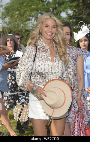 Christie Brinkley host Polo in den Hamptons Mit: Christie Brinkley Wo: Bridgehampton, New York, United States Wann: 29 Jun 2019: Rob Rich/WENN.com Stockfoto
