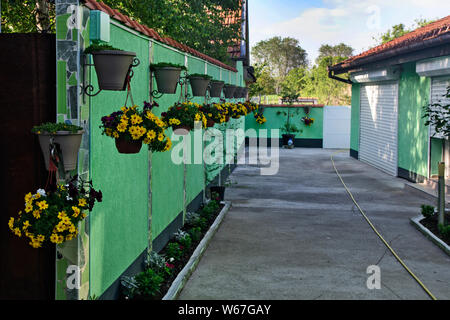 Töpfe hängen an der Wand mit vielen schönen und bunten Blumen. Blick auf den begrünten Hof. Stockfoto