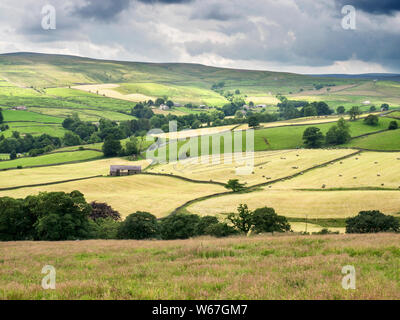 Feld Scheune in Thirteen cut Mähwiesen von Trapping Hill in der Nähe von Lofthouse in oberen Nidderdale North Yorkshire England Stockfoto