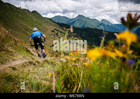 MORZINE, Frankreich. Ein Mountainbiker Reiten eine eingleisige Strecke Obwohl alpine Wiesen mit gelben Blumen im Vordergrund. Steilen Berggipfeln in der d Stockfoto