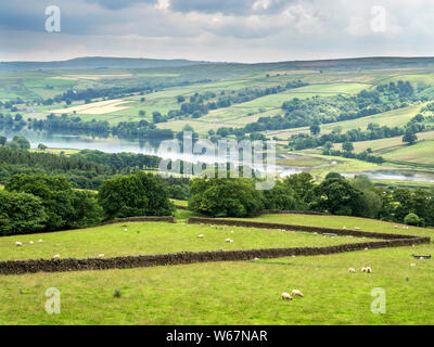 Blick Richtung Gouthwaite Reservoir in der Nähe von Ramsgill im oberen Nidderdale North Yorkshire England Stockfoto