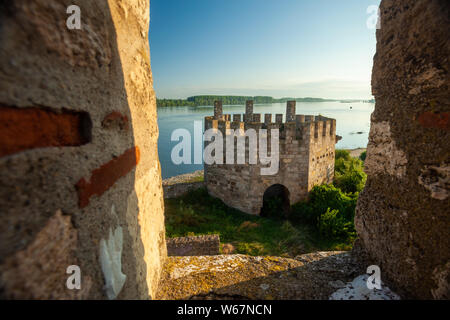 Smederevo Festung, eine der größten Befestigungsanlagen in Serbien Stockfoto