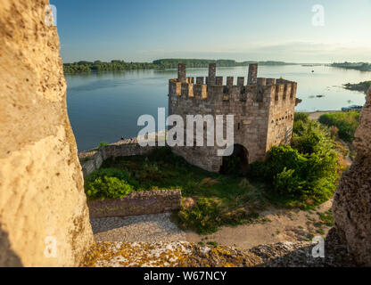 Smederevo Festung, eine der größten Befestigungsanlagen in Serbien Stockfoto