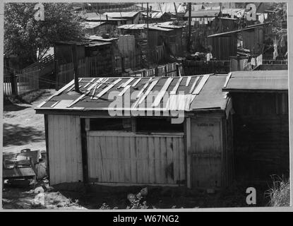 Oildale, Kern County, Kalifornien. Shacktown auf Kern County Wasser Eigentum des Unternehmens, betreut durch die. . .; Umfang und Inhalt: Die Bildunterschrift lautet wie folgt: Oildale, Kern County, Kalifornien. Shacktown auf Kern County Wasser Eigentum des Unternehmens, betreut von der Grafschaft. Familien bauten ihre eigenen Hütten hier Aus welchen Materialien sie finden konnten oder zu erwerben. Grundrente ist kostenlos. Stockfoto