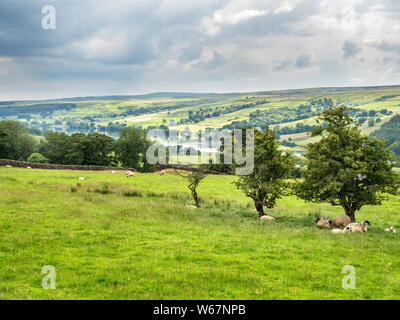 Blick Richtung Gouthwaite Reservoir in der Nähe von Ramsgill im oberen Nidderdale North Yorkshire England Stockfoto