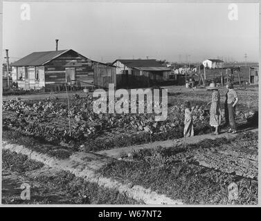 Olivehurst, Yuba County, Kalifornien. Eine unlackierte Haus aus zweiter Hand Bauholz, und Lkw Garten.; Umfang und Inhalt: Die Bildunterschrift lautet wie folgt: Olivehurst, Yuba County, Kalifornien. Eine unlackierte Haus aus zweiter Hand Bauholz, und Lkw-Garten. Stockfoto