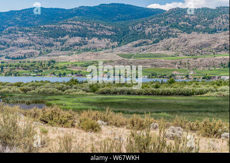 Wüste in der Nähe von Osoyoos, Okanagan Valley, British Columbia, Kanada Stockfoto