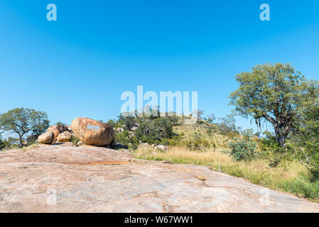 Krüger National Park, Südafrika - Mai 6, 2019: eine Ansicht von der Krüger Tabletten, zum Gedenken an die Gründung der Kruger Park 1898 Stockfoto