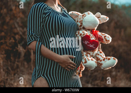Schwangere Frau im Wald Stockfoto