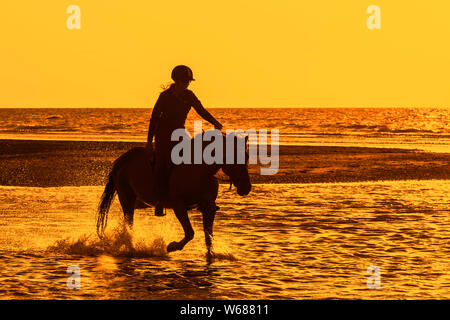 Reiterin/weibliche Pferd Reiter auf dem Pferd reiten durch Wasser auf den Strand entlang der Nordseeküste, bei Sonnenuntergang im Sommer Silhouette Stockfoto