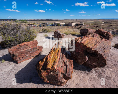 Versteinertes Holz und das Rainbow Forest Visitor Centre aus dem riesigen Protokolle Trails, Petrified Forest National Park, Arizona. Stockfoto