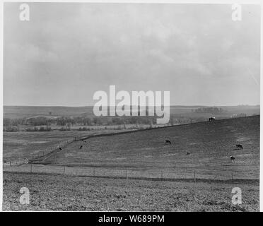 Shelby County, Iowa. Dies ist das Land, das die Menschen in Irwin - einige der besten Ländereien. . .; Umfang und Inhalt: Die Bildunterschrift lautet wie folgt: Shelby County, Iowa. Dies ist das Land, das die Menschen in Irwin - einige der besten Land im Land. Der Mutterboden ist tief, fein strukturierten und frei von Steinen, und sogar der Untergrund wird gute Ernten produzieren. Weil es das Rollen ist, dieses Land wäscht und erodiert schneller als im Flachland im Osten, aber die Bauern sagen, widersteht er Dürre besser als die letzte. Stockfoto