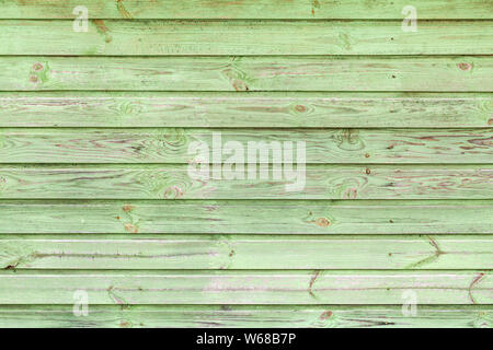 Grüne grungy Holzwand, frontale Ansicht, Hintergrund Foto Textur Stockfoto