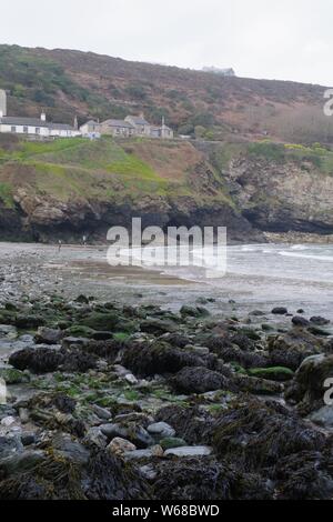 Trevaunance Cove und Punkt. Die hl. Agnes, North Cornwall, an einem Frühlingstag. Stockfoto