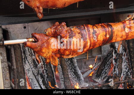 Zwei Spanferkel auf dem Grill Stockfoto