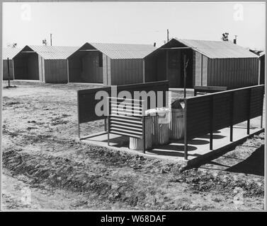 Sutter County, in der Nähe von Yuba City, Kalifornien. Müllabfuhr in Yuba County, in der Nähe von Yuba City, Cal. . .; Umfang und Inhalt: Die Bildunterschrift lautet wie folgt: Sutter County, in der Nähe von Yuba City, Kalifornien. Müllabfuhr in Yuba County, in der Nähe von Yuba City, Kalifornien, in Yuba City. Farm Workers Gemeinschaft (F. S.A.). Stockfoto