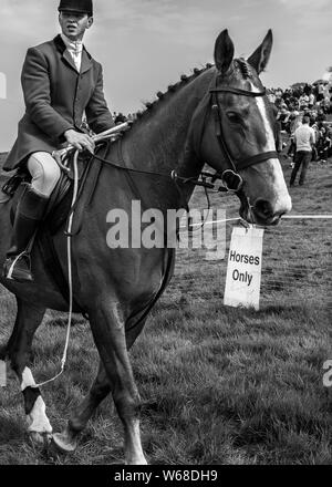 Vier burrow Jagd und Punkt-zu-Pferd Rennen 2019 Stockfoto