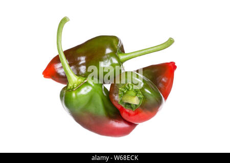 Gruppe von frischem rotem und grünem Pfeffer auf weißem Hintergrund. Capsicum annuum Sorten Stockfoto