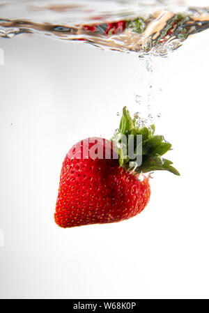 Eine einzelne Erdbeere ins Wasser fällt die Erstellung eines schönen Luftblase wie es funktioniert. Das Wasser sitzt auf einem weißen Hintergrund. Stockfoto