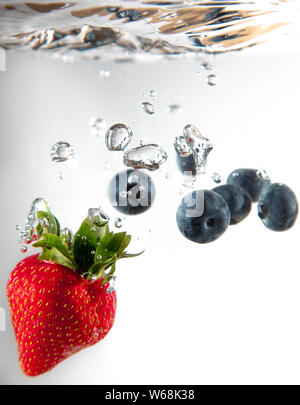 Eine Erdbeere und einige Heidelbeeren fallen in Wasser schöne Luftblasen, wie es funktioniert. Das Wasser sitzt auf einem weißen backgroun Stockfoto