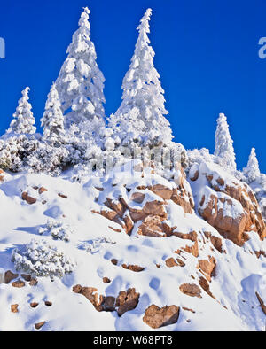 Über Nacht Schneefall erstellt eine Winterlandschaft unter den Felsen und Bäume im südlichen Oregon Rogue River National Forest. Stockfoto