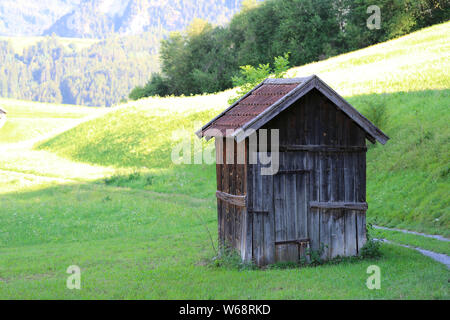 Tiroler Wiese mit Heustadel Stockfoto