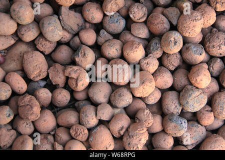 Rock natürliche Dekorative Stein für den Garten Stockfoto