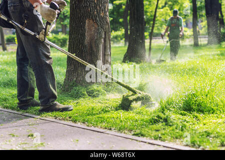 Arbeiter, die mit elektrischem oder benzinem Rasentrimmer im Stadtpark oder im Hinterhof hohes Gras Mähen. Gartenpflegewerkzeuge und -Ausrüstung. Verfahren zum Rasentrimmen Stockfoto